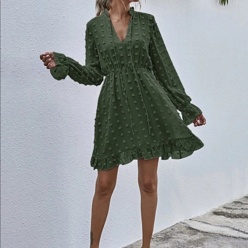 NWOT Long Sleeve Swiss Dot Tie Neck A-Line Dress